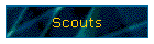 Scouts